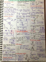 Nlm.pdf